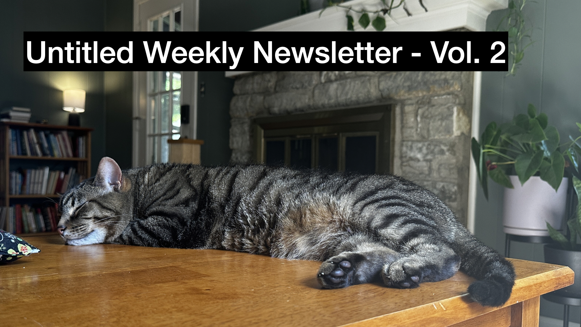 a picture of a shorthair brown tabby laying on its side on a table and sleeping with overlaid text that says "Untitled Weekly Newsletter Volume 2"