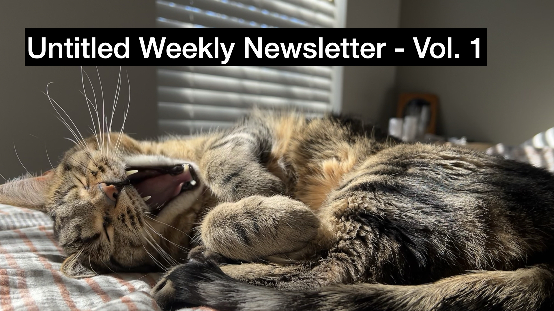 a picture of a shorthair brown tabby laying on its side on a bed and yawning with overlaid text that says "Untitled Weekly Newsletter Volume 1"